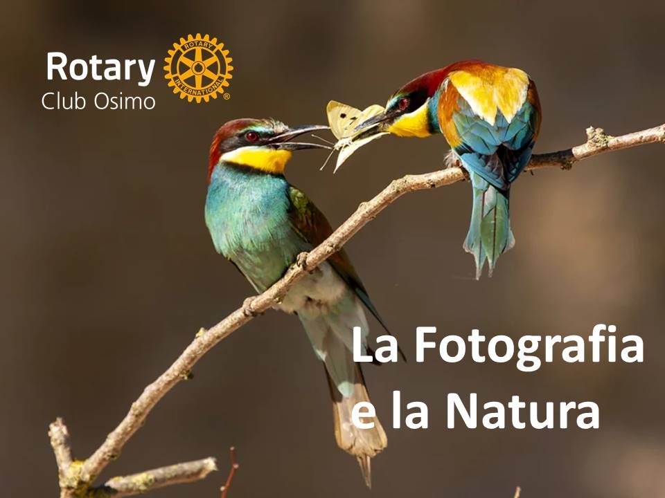 La fotografia e la natura