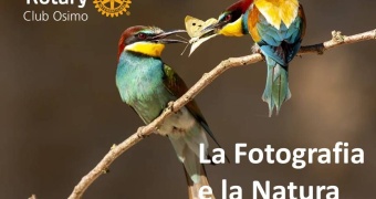 La fotografia e la natura